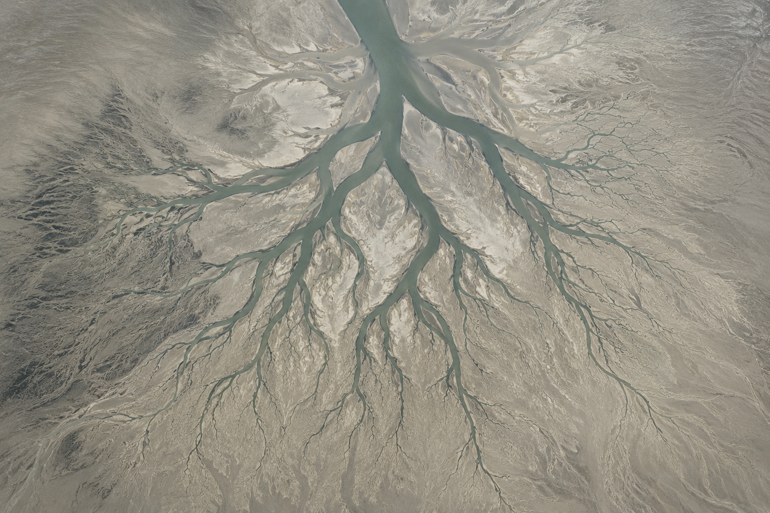 A river delta seen from altitude in monochromatic register. One main channel divides into multiple tributaries, each thinner than its parent. The Branching archetype made visible. The same shape that runs through roots, vascular systems, mycelium, and microbiomes.