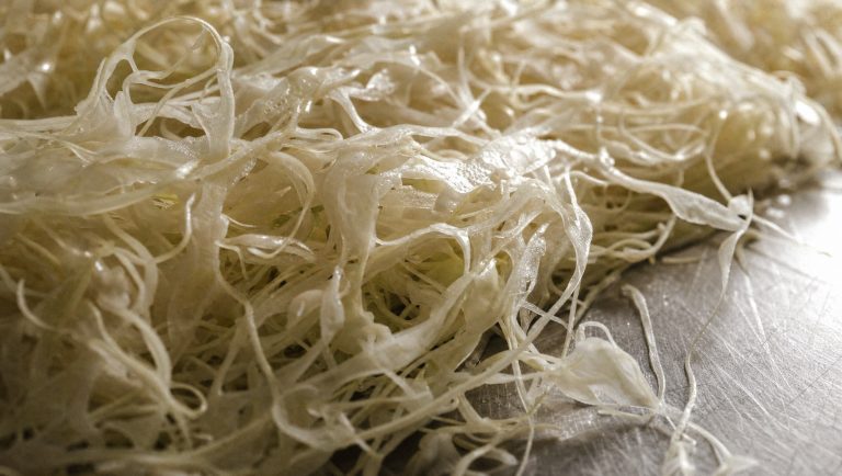 Macro of pale shredded cabbage fibres like connective tissue on a steel bench