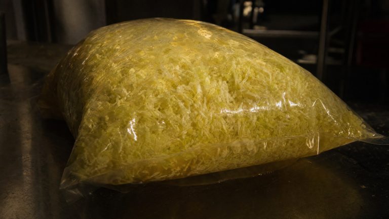 Vacuum bag of cabbage fermenting, puffed with carbon dioxide, on dark steel