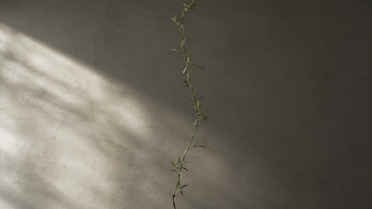 A single green stem trails upward through a dim frame like a nerve line, the gut-to-brain vagus wire
