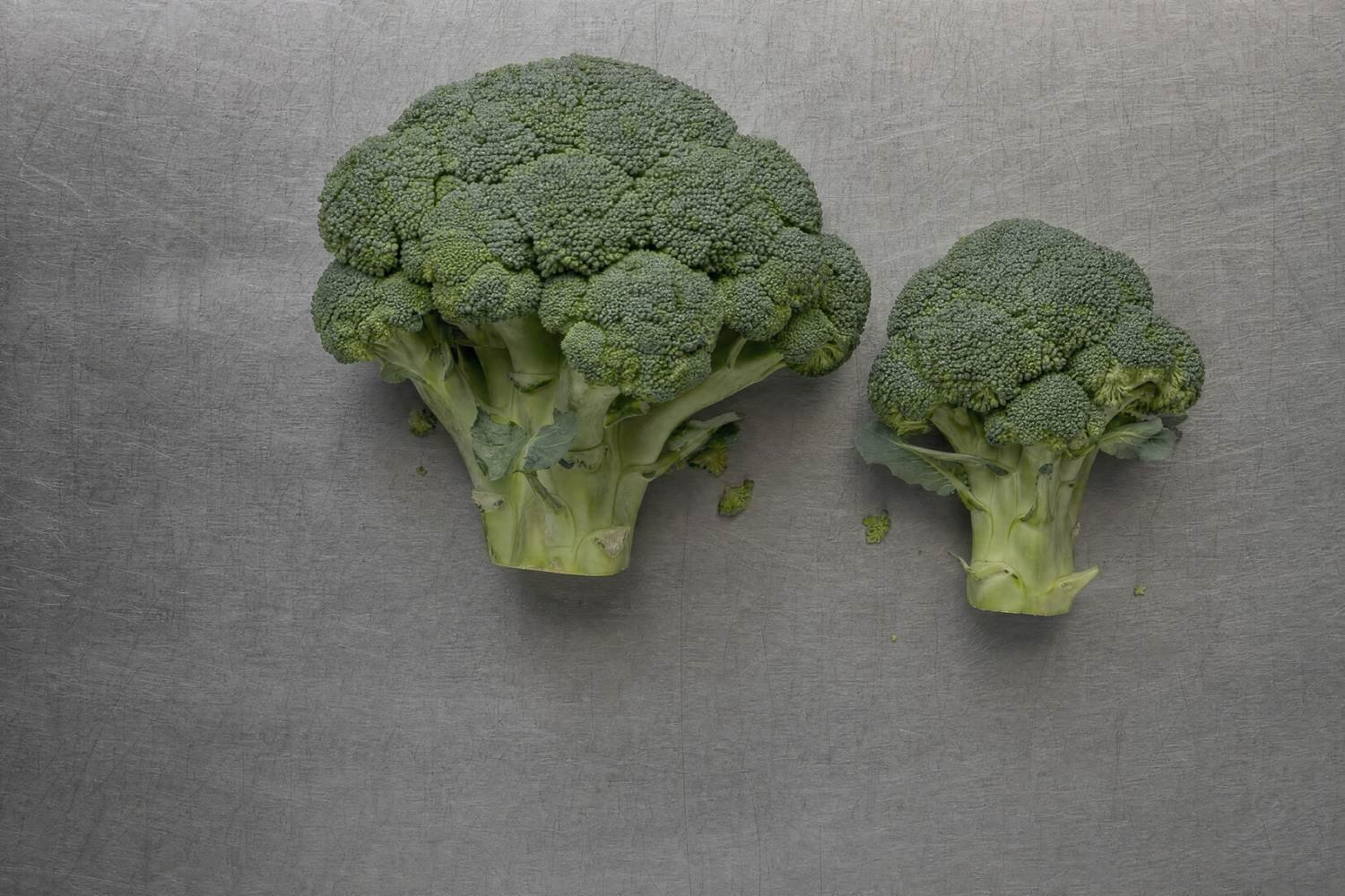 Same variety, different size. Mineral concentration falls per hundred grams as head mass rises.