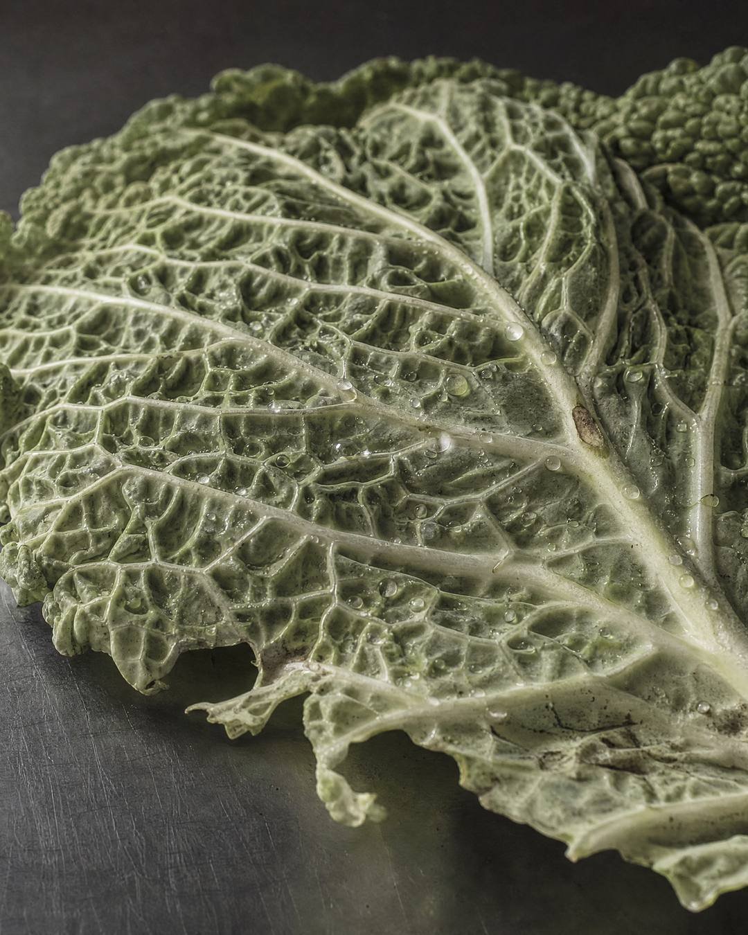 Does the soil reach your gut?